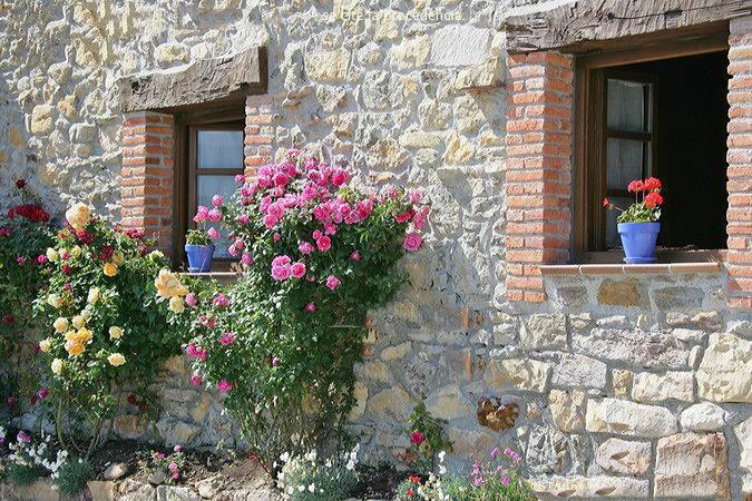 La Xica Ll Guest House Beceña Eksteriør bilde